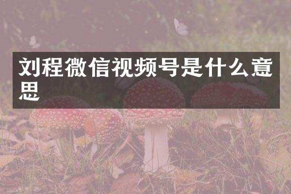 刘程微信视频号是什么意思