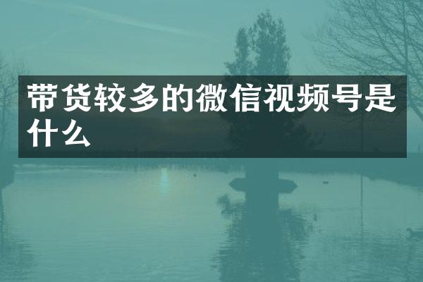 带货较多的微信视频号是什么