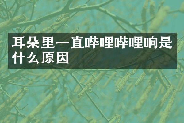 耳朵里一直哔哩哔哩响是什么原因