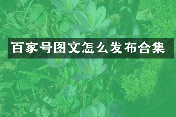 百家号图文怎么发布
