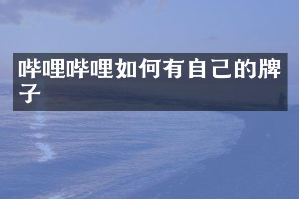 哔哩哔哩如何有自己的牌子