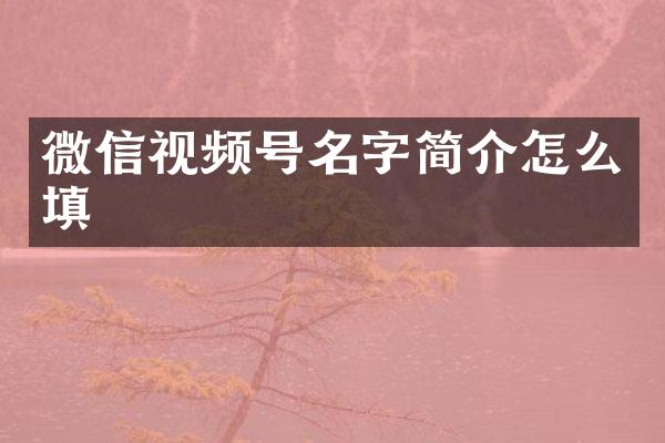微信视频号名字简介怎么填