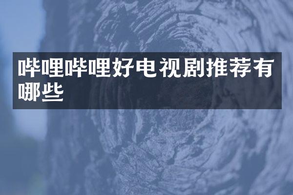 哔哩哔哩好电视剧推荐有哪些