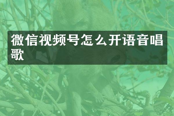 微信视频号怎么开语音唱歌