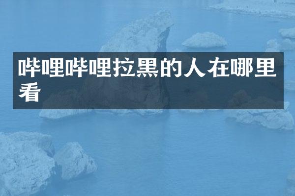 哔哩哔哩拉黑的人在哪里看