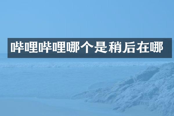 哔哩哔哩哪个是稍后在哪