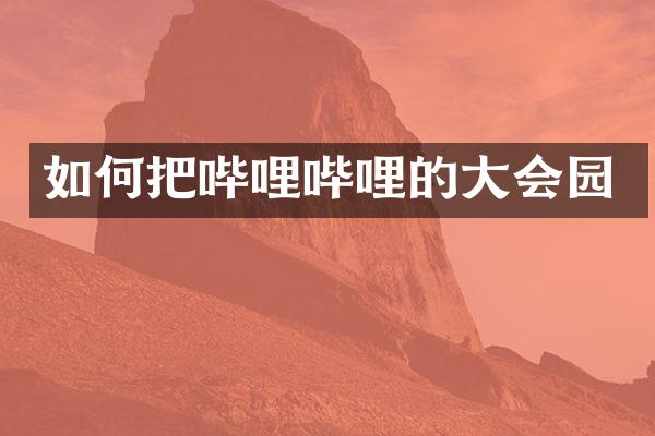 如何把哔哩哔哩的大会园