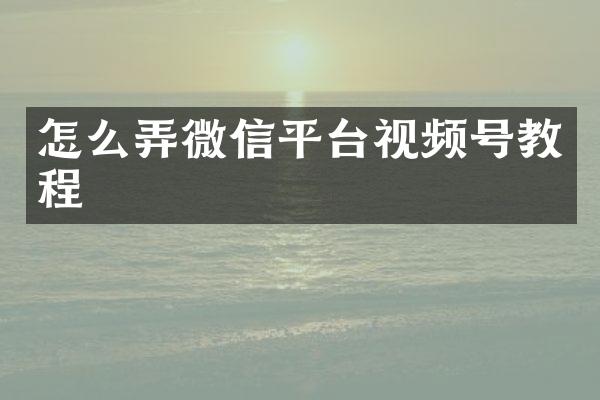 怎么弄微信平台视频号教程