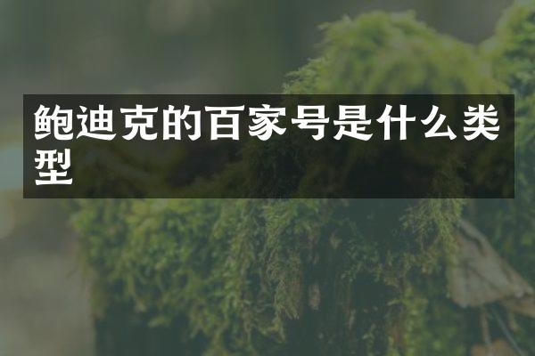 鲍迪克的百家号是什么类型