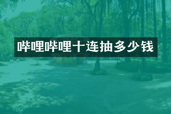 哔哩哔哩十连抽多少钱