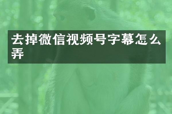去掉微信视频号字幕怎么弄