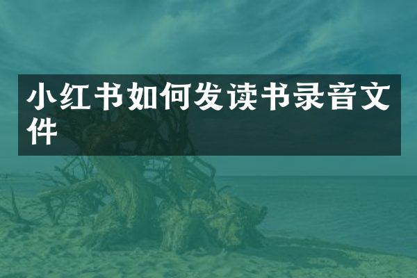 小红书如何发读书录音文件