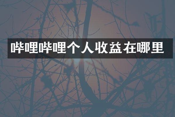 哔哩哔哩个人收益在哪里