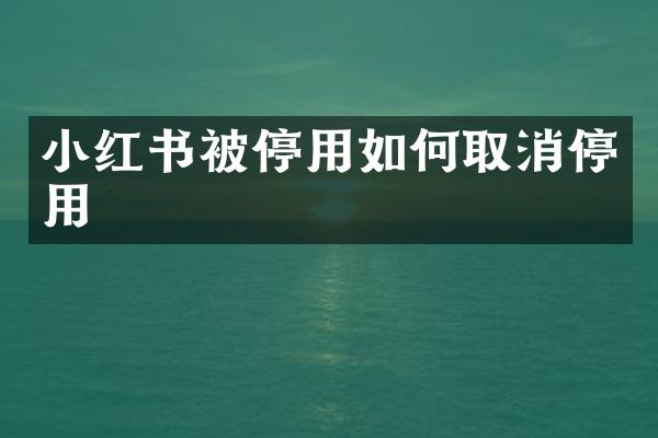 小红书被停用如何取消停用