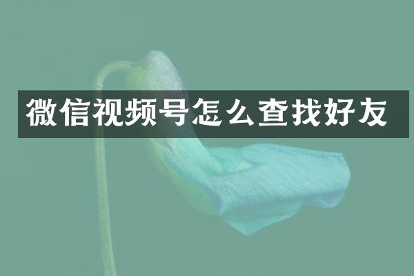 微信视频号怎么查找好友