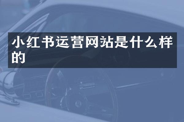 小红书运营网站是什么样的