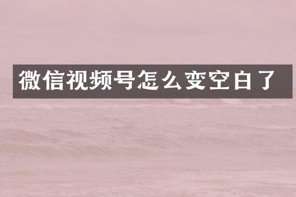 微信视频号怎么变空白了