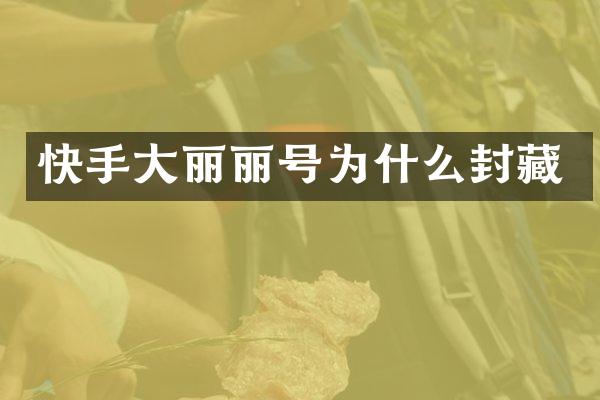 快手大丽丽号为什么封藏