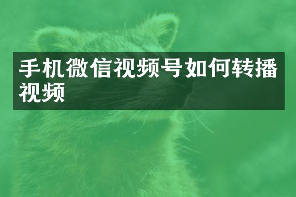手机微信视频号如何转播视频