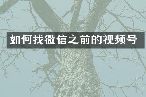 如何找微信之前的视频号