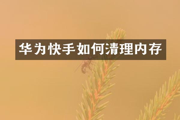 华为快手如何清理内存