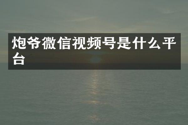 炮爷微信视频号是什么平台