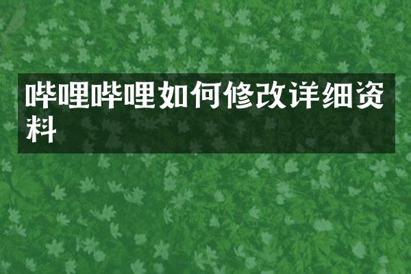 哔哩哔哩如何修改详细资料