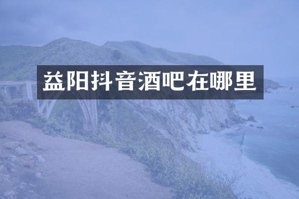 益阳抖音酒吧在哪里