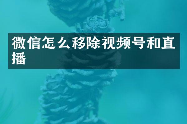 微信怎么移除视频号和直播
