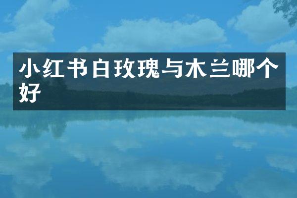 小红书白玫瑰与木兰哪个好