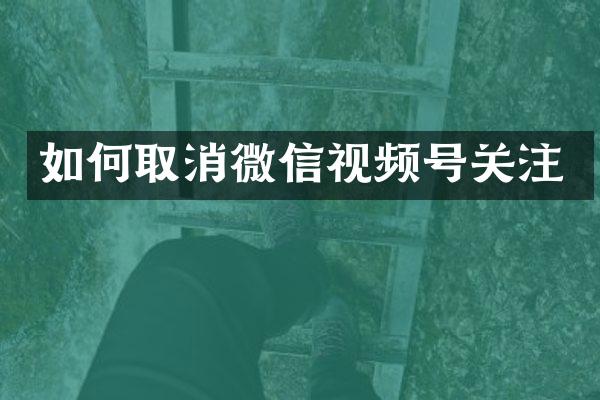 如何取消微信视频号关注