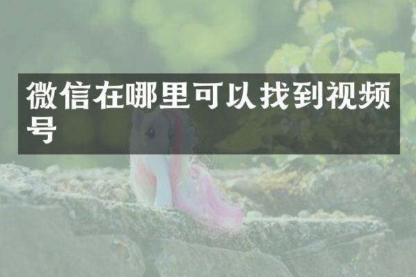 微信在哪里可以找到视频号