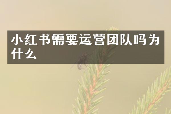 小红书需要运营团队吗为什么