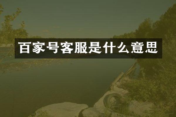 百家号客服是什么意思