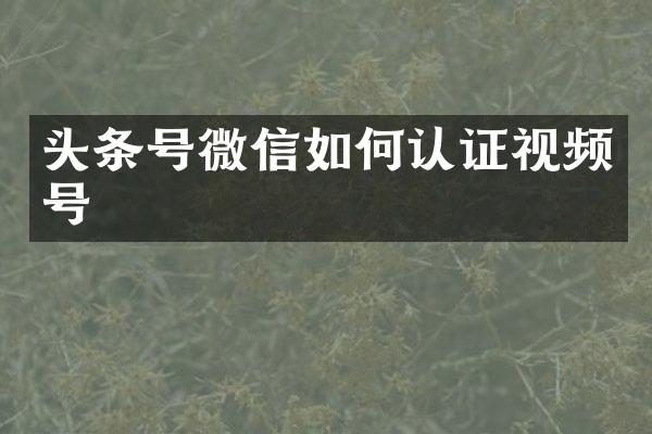 头条号微信如何认证视频号