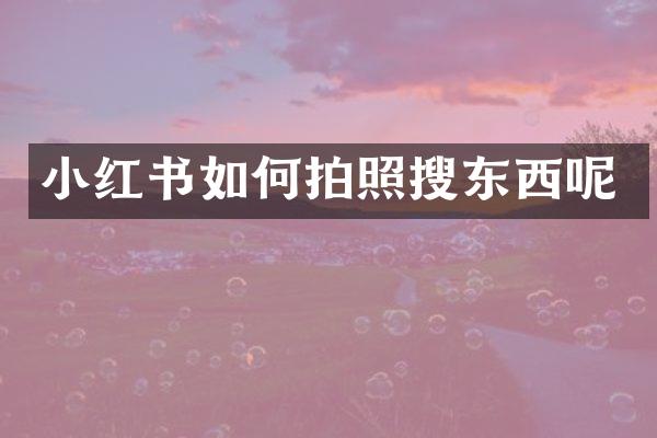 小红书如何拍照搜东西呢