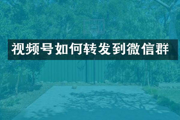 视频号如何转发到微信群