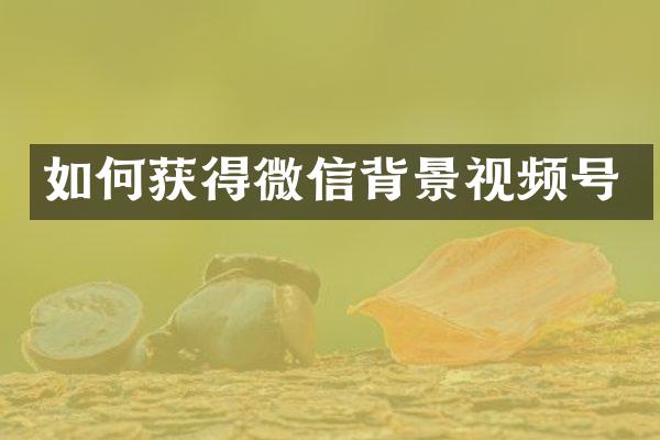如何获得微信背景视频号