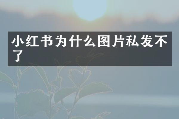 小红书为什么图片私发不了