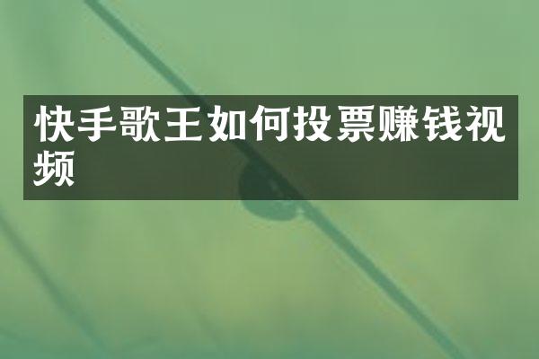 快手歌王如何投票赚钱视频