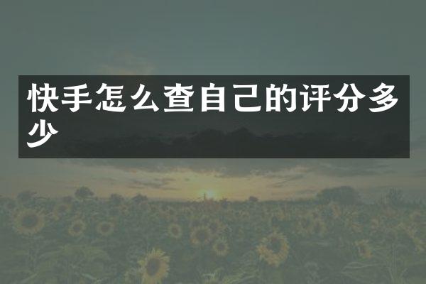 快手怎么查自己的评分多少