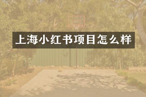 上海小红书项目怎么样