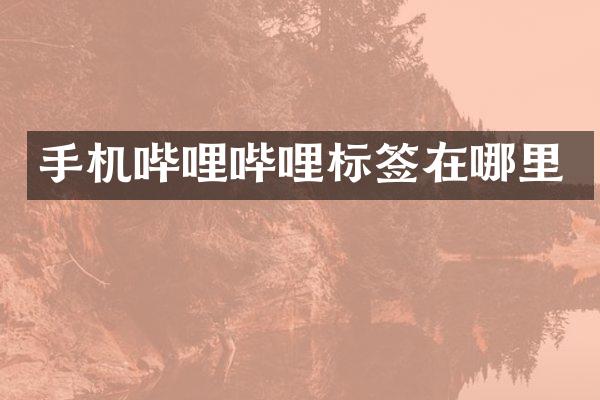 手机哔哩哔哩标签在哪里