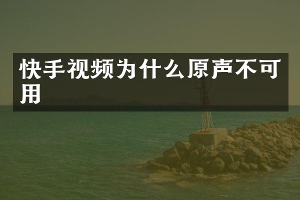 快手视频为什么原声不可用