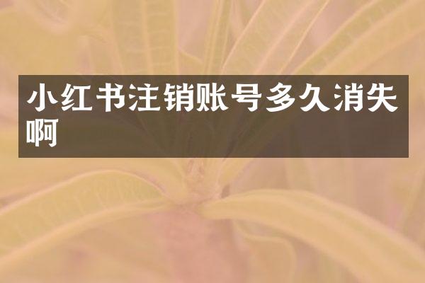 小红书注销账号多久消失啊