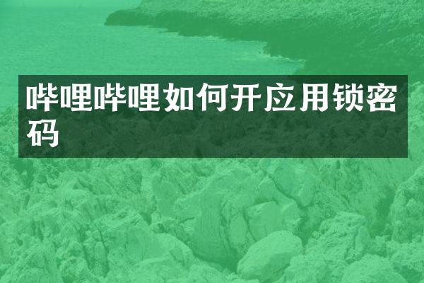 哔哩哔哩如何开应用锁密码