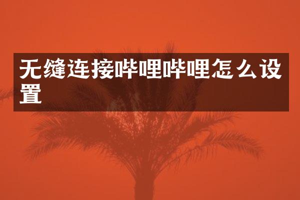 无缝连接哔哩哔哩怎么设置