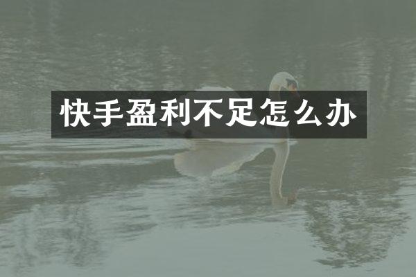 快手盈利不足怎么办