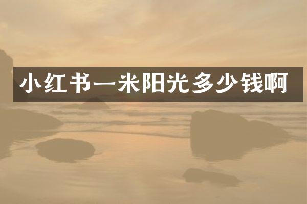 小红书一米阳光多少钱啊