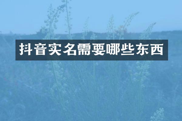 抖音实名需要哪些东西